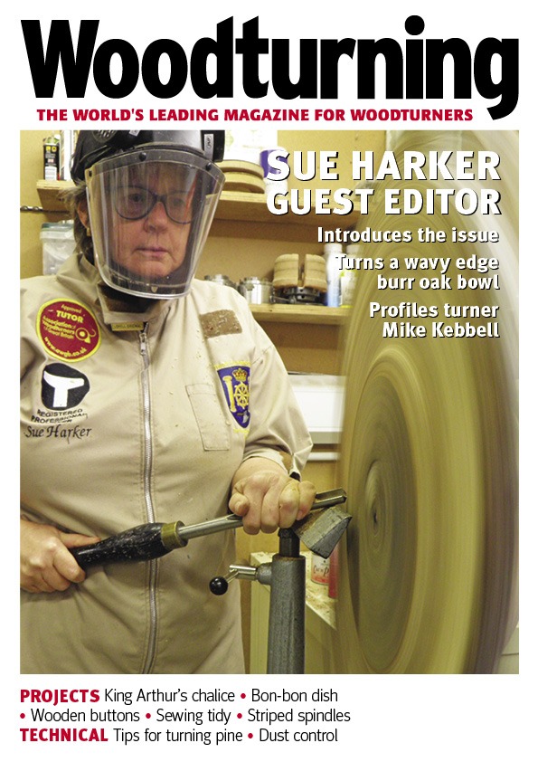 Woodturning 365 Cover