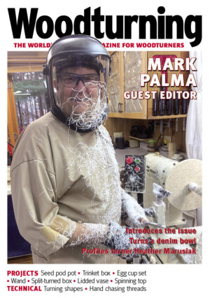 Woodturning 373 Cover