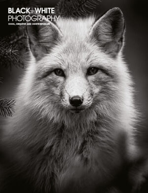 Black+White Photography 273 Cover