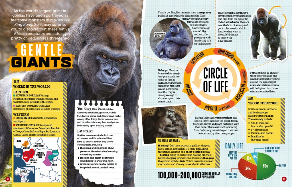 Factology Issue 16: Monkeys and Apes - Buy online