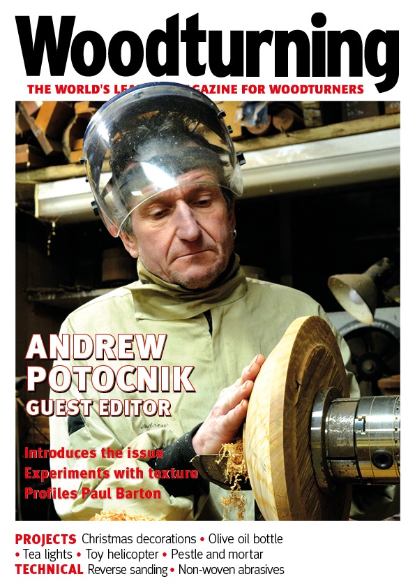 Woodturning 377 Cover