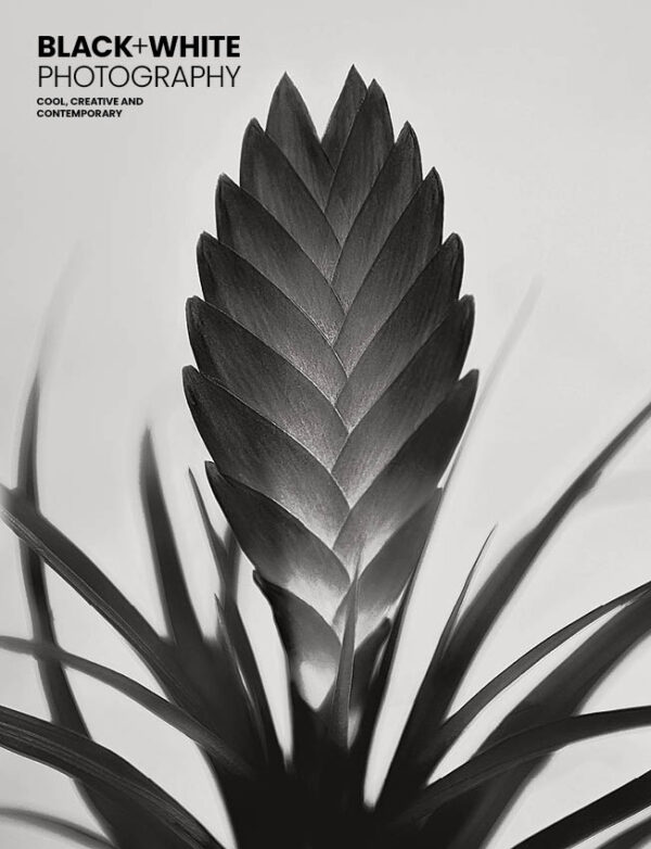 Black+White Photography 275 Cover
