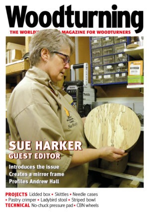 Woodturning 380 Cover