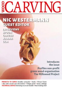 Woodcarving 193 Cover