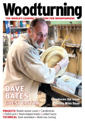 Woodturning 383 Cover