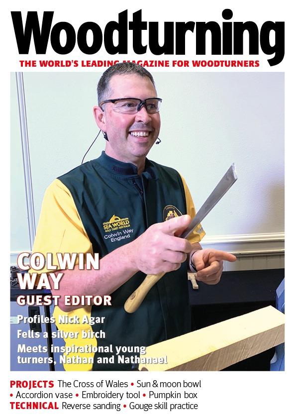 Woodturning 384 Cover