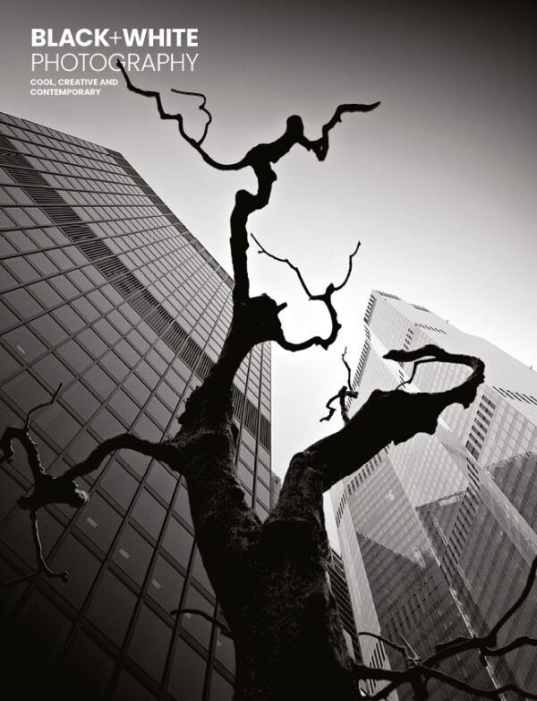 Black+White Photography 280 Cover
