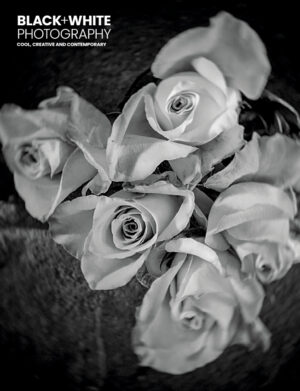 Black+White Photography 306 Cover