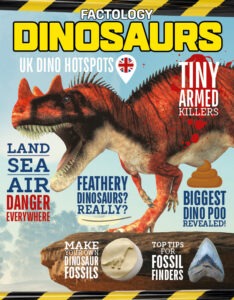 Factology 38 Cover