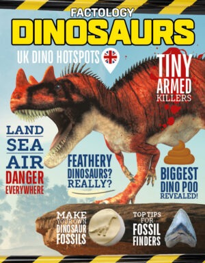 Factology 38 Cover