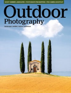 331 Cover