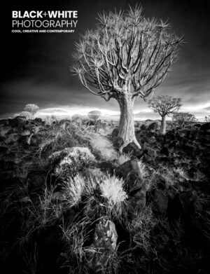 Black+White Photography 316 Cover