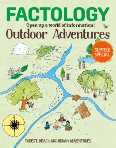 41 Cover