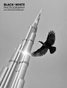 Black+White Photography 319 Cover
